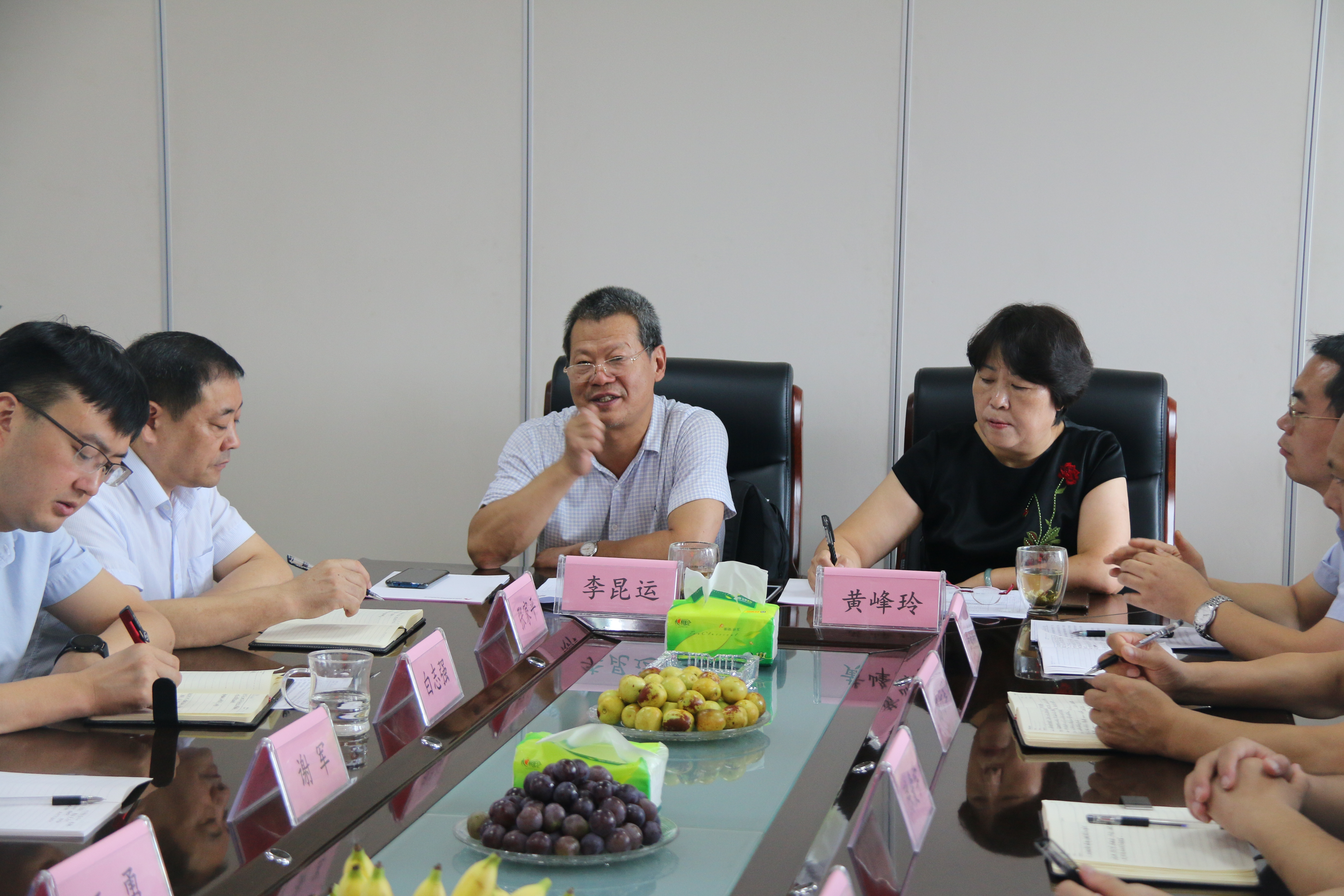 中建协专家组莅临我司指导国标审核工作(图2)